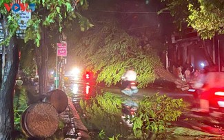 Typhoon Kalmaegi wreaks havoc in Gia Lai and Dak Lak