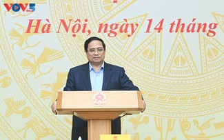 PM seeks to optimize signing, delivery of Vietnam's international commitments 