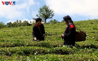 Дивный цвет индиго и волшебные нити, оживляющие заоскую рубашку