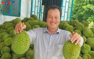 From orchard to opportunity: Can Tho farmer elevates local durian