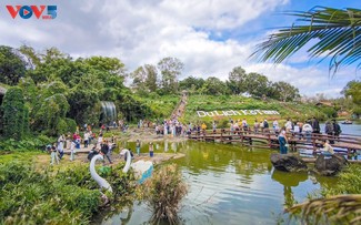 Dak Lak welcomes large crowds of visitors during Tet holiday