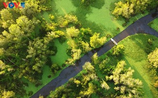 Tra Su, la reserva forestal que sitúa a An Giang en el mapa del ecoturismo