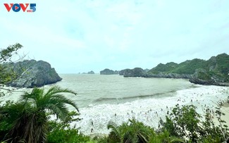 Cat Bà, le rendez-vous estival par excellence