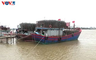 Ngư dân ngày càng nhận thức rõ hơn về IUU