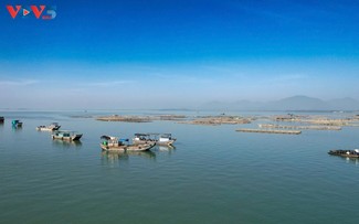 Quảng Ninh hoàn thành sớm các chỉ tiêu quản lý tàu cá, không có tàu cá vi phạm vùng biển nước ngoài