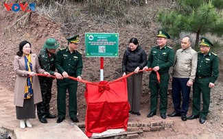 “Digital Border Information” model proves effective in Lang Son province 