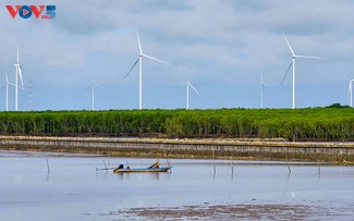 Ca Mau identifies marine economy as new growth pillar 