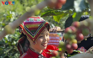 ກາເຟ Arabica ​ຊ່ວຍໃຫ້ເສດຖະກິດຂອງ ຈ່ຽງອານ ເຕີບ​ໂຕ