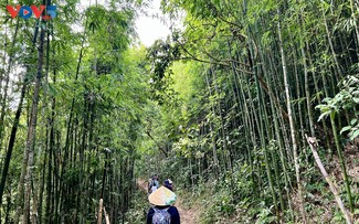 ຄົ້ນຫາ ຕາວານຜ່ານເສັ້ນທາງແຄມພູ.