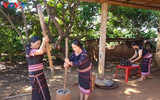 Le chant du mortier: Tradition et identité du pilage du riz chez les Jrai