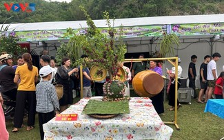 Phiêng Khoài mise sur les vergers pour dynamiser son économie rurale