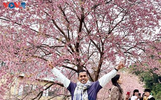 Quand les villages montagneux se parent du rose des fleurs de pêcher