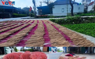 Le village de Báo Ân en pleine effervescence à l’approche du Têt