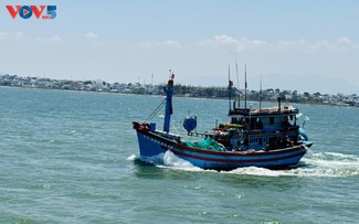 Lâm Đồng nâng cao hiệu quả chống IUU