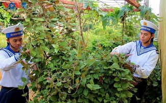 Thông tin biển đảo Việt Nam 