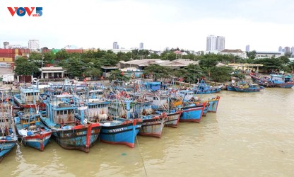 Vietnam accelerates fisheries infrastructure upgrades to fight IUU fishing