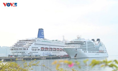 Quang Ninh – a popular stop on international cruise itineraries