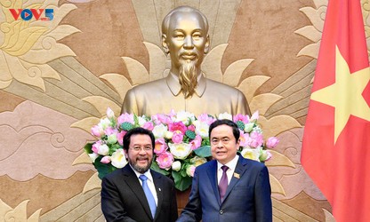 ประธานสภาแห่งชาติ เจิ่นแทงเหมิน ให้การต้อนรับรองประธานสภาผู้แทนท้องถิ่นอินโดนีเซีย