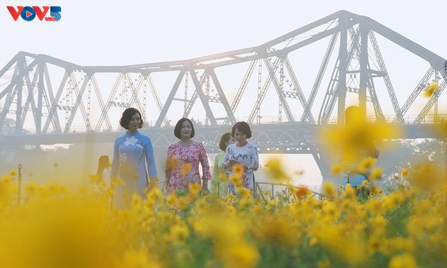 Le tapis de fleurs sous le pont Long Biên séduit les visiteurs