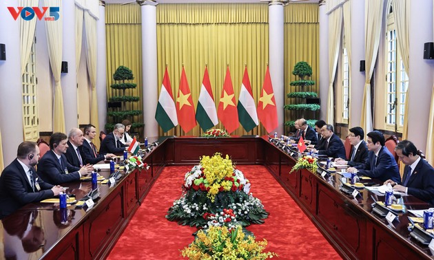 Staatspräsident Luong Cuong führt Gespräch mit dem ungarischen Präsidenten Sulyok Tamás