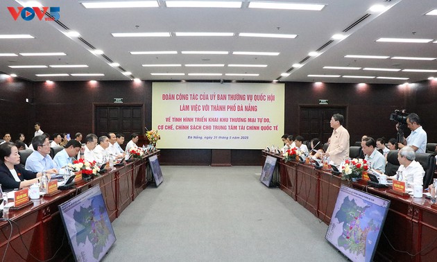 Arbeitsgruppe des ständigen Parlamentsausschusses tagt mit der Stadt Da Nang