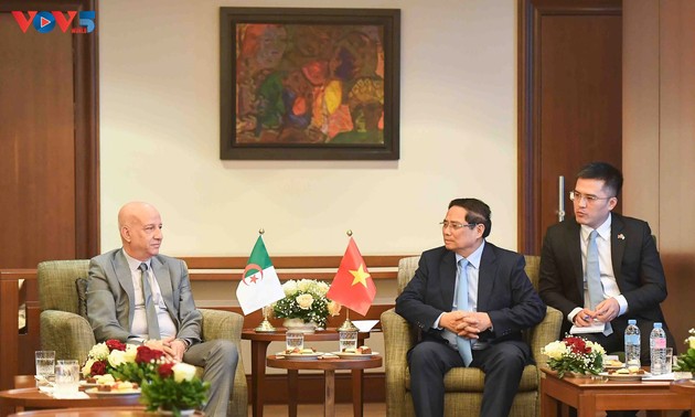 Verstärkung der Zusammenarbeit zwischen Vietnam und Algerien in vielen Bereichen