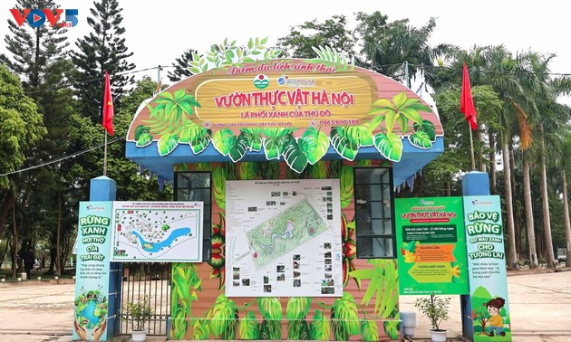 Botanischer Garten von Hanoi: Ein attraktives grünes Touristenziel
