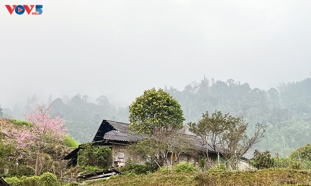 Bergige Dörfer in rosafarbener Kirschblüten