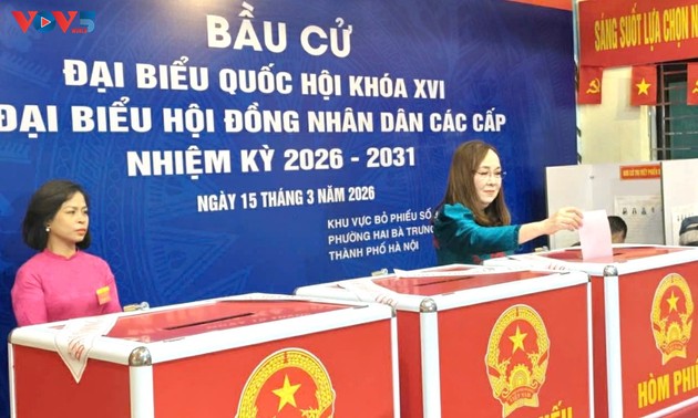 Auslandsvietnamesen bringen ihr Vertrauen durch ihre Stimmen zum Ausdruck