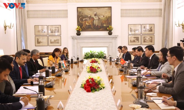Vietnam, India hold political consultation, strategic dialogue