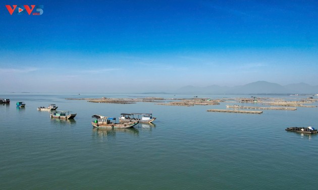 Quang Ninh completes targets concerning fishing vessel management ahead of schedule