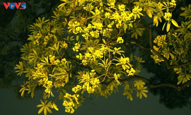 リスナーと共におしゃべりタイム (10月8日)