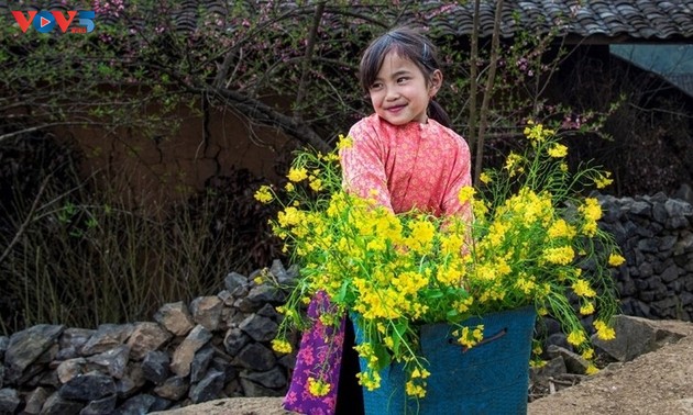 春・ハザン省の一年で最も美しい季節