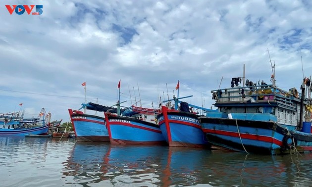 ホーチミン市と漁民が一体となってIUU違反を徹底是正