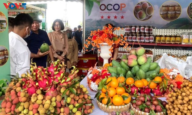 山罗省通过“一乡一品”项目提升农产品质量，实现农村经济新突破