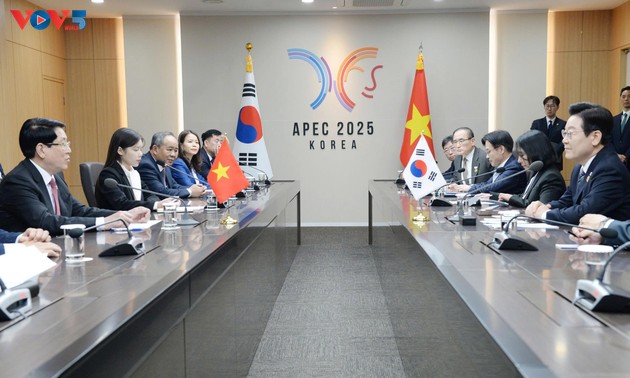 梁强与韩国总统李在明举行会谈