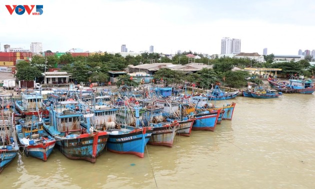 Vervollkommnung der Fischereiinfrastruktur – Wichtiges Glied im Kampf gegen IUU-Fischerei