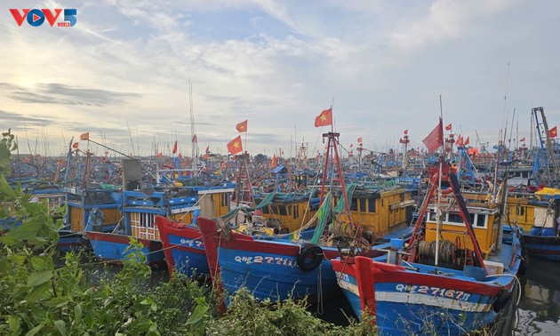 Taifun Kalmaegi zieht ins Ostmeer, Zentralvietnam bereitet sich auf Schutzmaßnahmen vor