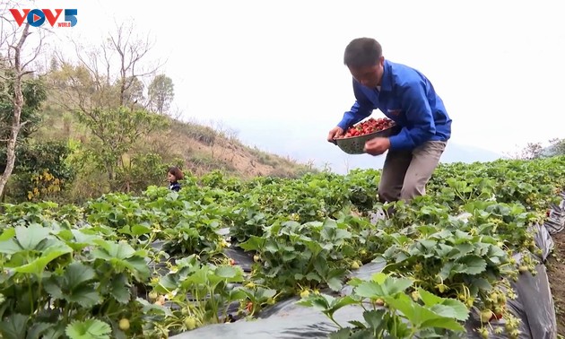 Thanh niên Lai Châu khởi nghiệp, lập nghiệp trong thời đại số