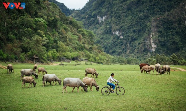 Степь Донглам – идеальное место для пикника
