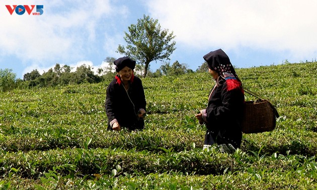 Дивный цвет индиго и волшебные нити, оживляющие заоскую рубашку