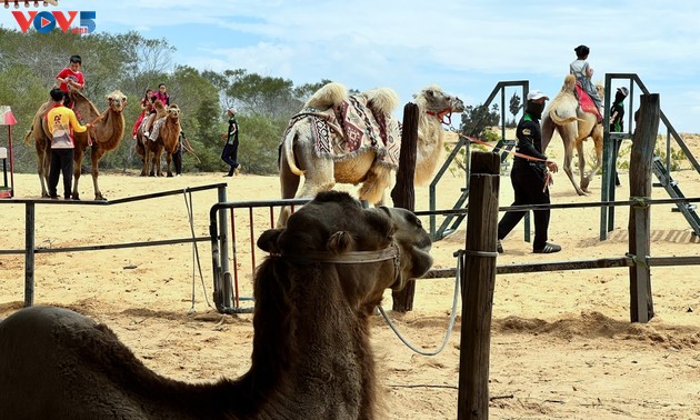 Песчаные дюны Баучанг в провинции Ламдонг