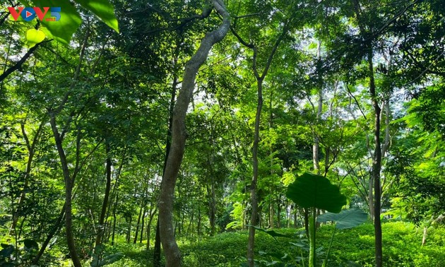 Ханойский ботанический сад — привлекательное место экотуризма