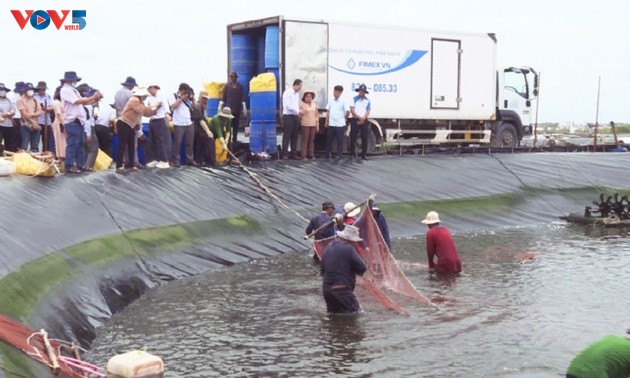 Lever les obstacles du secteur aquacole