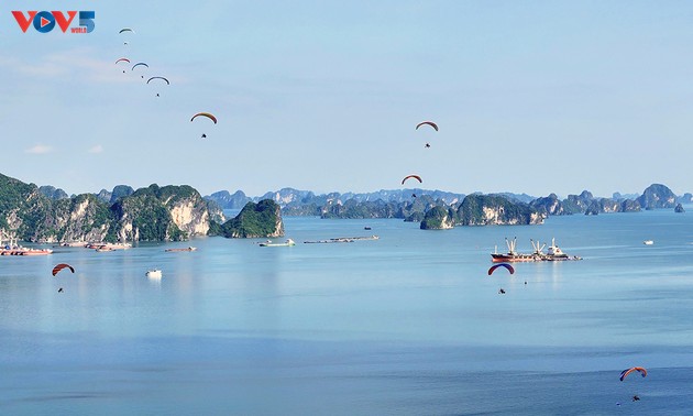 Survoler et admirer la Baie d'Ha Long en Parapente