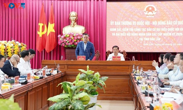 Les provinces vietnamiennes finalisent les préparatifs pour les élections du 15 mars