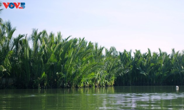 Bay Mau Coconut Forest – a “miniature Mekong Delta” in the heart of Hoi An