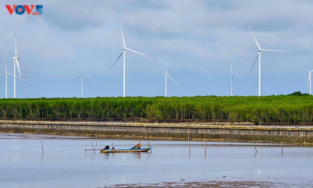 Ca Mau identifies marine economy as new growth pillar 