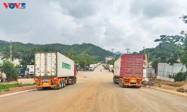 Trade at Tra Linh International Border Gate rebounds strongly