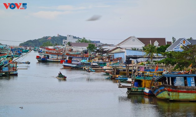 Provinzen ergreifen Maßnahmen zur Aufhebung gelber Karte der EU-Kommission gegen IUU-Fischerei
